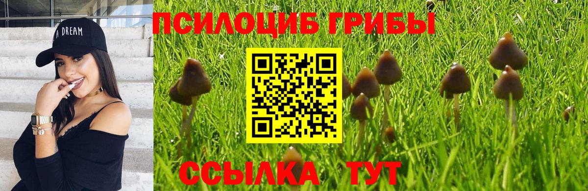 Псилоцибиновые грибы мицелий Кубинка