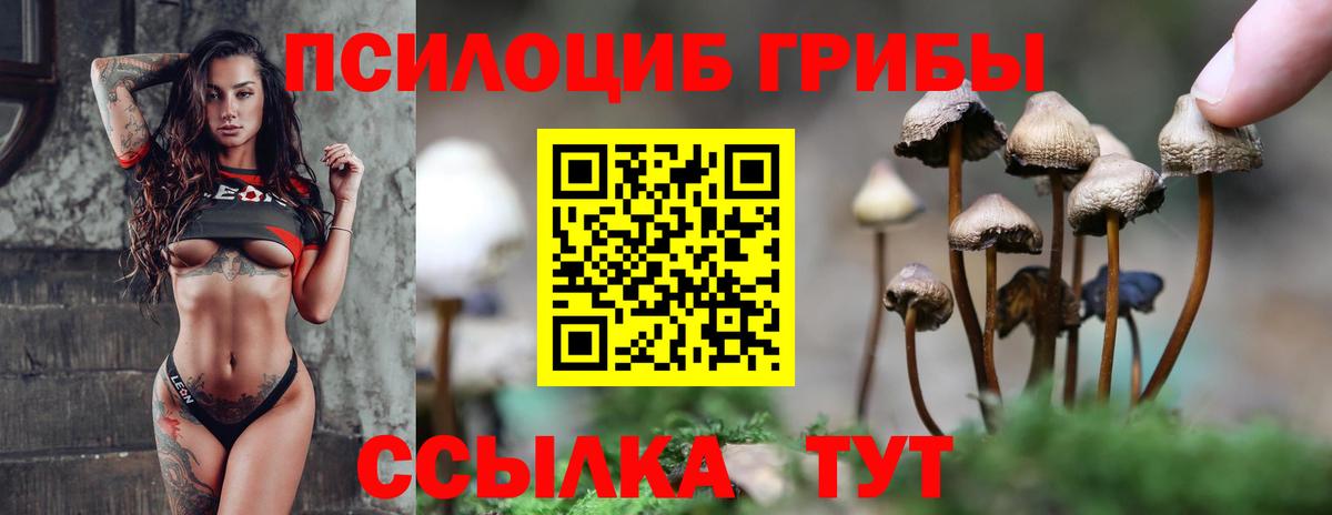 Псилоцибиновые грибы Magic Shrooms  Вход с VPN  Кубинка 